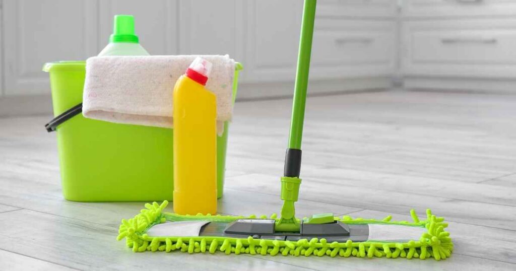 Do You Tip a House Cleaner What You Need to Know